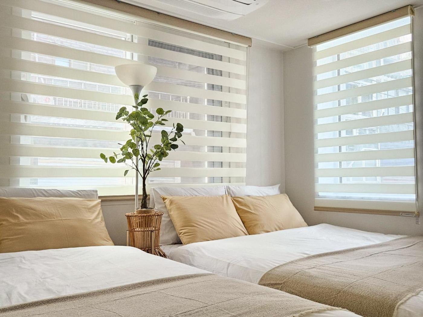 Sensibility Warmth Cozy New Construction Pleasant Hongdae Gangnam 30 Minutes